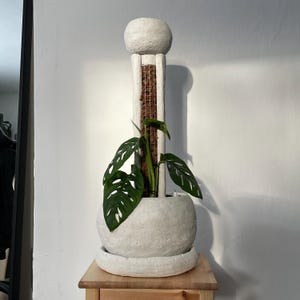 Maceta escultural de musgo | Maceta de hormigón hecha a mano con soporte para trepar integrado | Decoración moderna para monstera y filodendro