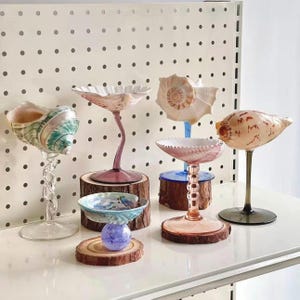 Peut inclure: Une collection d'objets d'art décoratifs en coquillages. Chaque pièce présente un coquillage unique monté sur une tige, certains sur des socles en bois. Les coquillages affichent une variété de couleurs et de textures, créant une esthétique côtière.