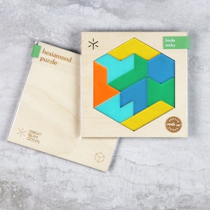 Funhouse Hexiamond Puzzle