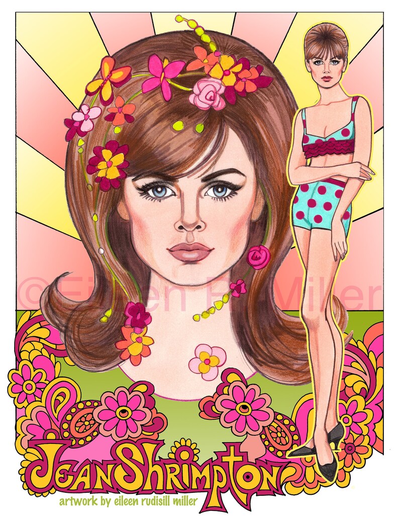 Essay on a twiggy image 07 image