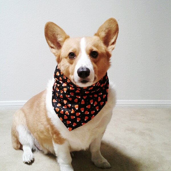 The Dog-dana, Halloween Print Bandana for Dogs or Cats