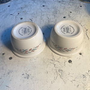 2 Corelle Coordinates Rosemarie ,7 oz Stoneware Ramekin Bowls