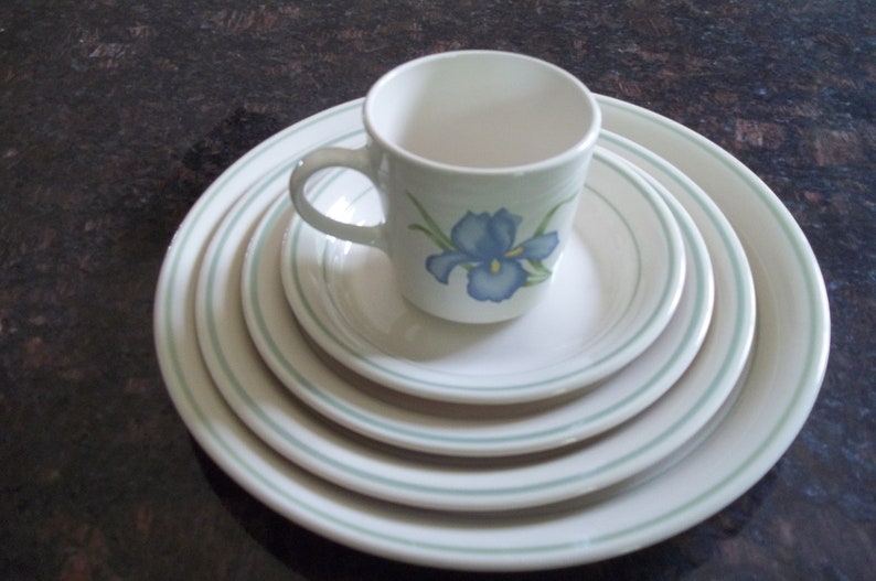 5 Piece Corning iris AKA Blue Iris Dinner Set