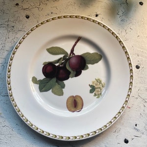 1 Queen&#39;s  Hookers Fruit 10 5/8&quot; Dinner Plates India