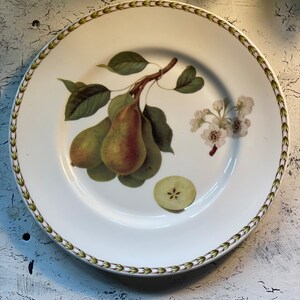 1 Queen&#39;s  Hookers Fruit 10 5/8&quot; Dinner Plates India
