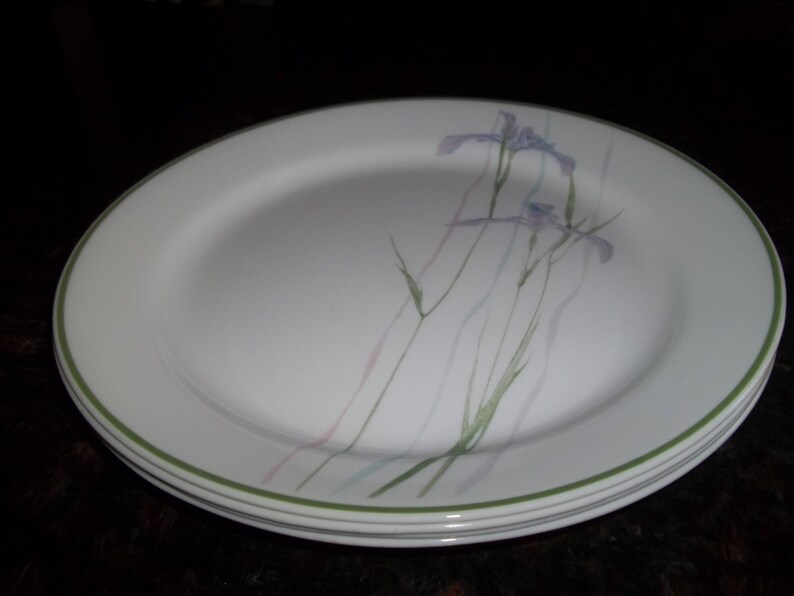 NWT 4 Shadow Iris Corelle Dinner Plates 10 1/4 Etsy