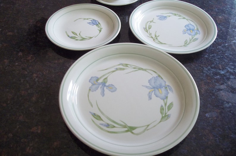 5 Piece Corning iris AKA Blue Iris Dinner Set