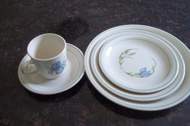 5 Piece Corning iris AKA Blue Iris Dinner Set