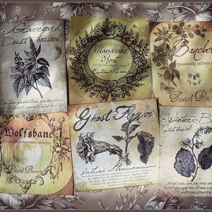 A Witch's Herbal Sticker Labels image 2