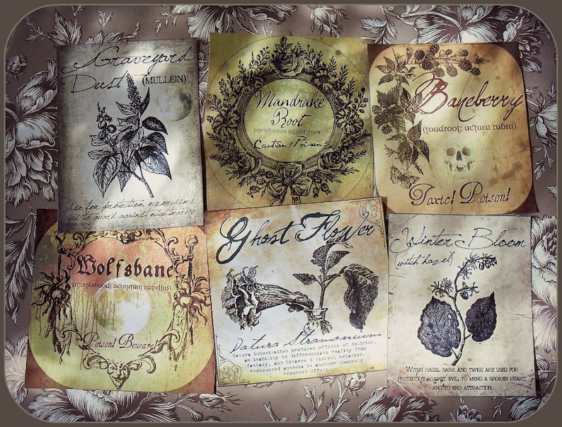 A Witch's Herbal Sticker Labels image 2