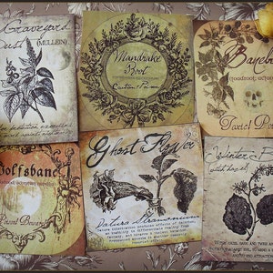 A Witch's Herbal Sticker Labels image 1