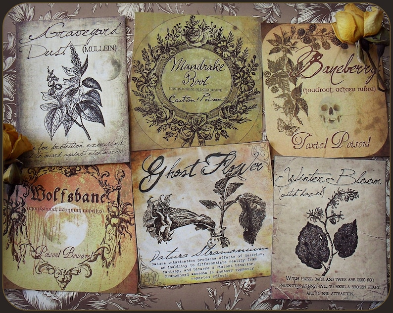 A Witch's Herbal Sticker Labels image 1