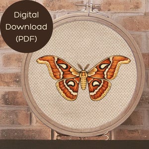 Borduurpatroon Atlasvlinder | Geschikt voor beginners, kleurenmenging (pdf-download)