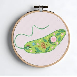 May include: A cross-stitch embroidery of a green, oval-shaped cell with internal details, including a pink flower-like structure. The design is set against a light pink background within a wooden embroidery hoop.