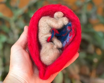 Baby in the womb needle felted sculpture