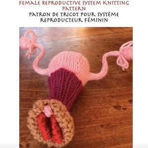 May include: A knitted representation of the female reproductive system. The uterus is pink and red, the fallopian tubes are pink, and the vulva is brown and red.