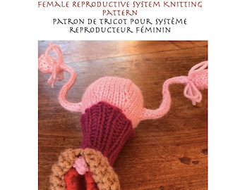 PDF knitting pattern for female reproductive system