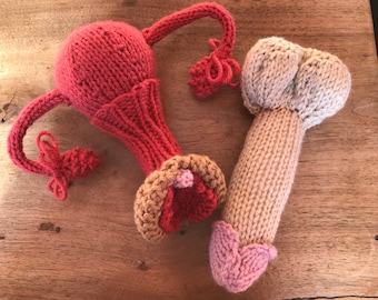 Knitted Male and Female Reproductive Organs Set