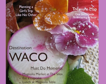 Magazine Bag Duct Tape ANA DELIGHT Destination WACO