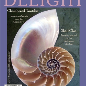 Magazine Bag Duct Tape DELIGHT Chambered Nautilus image 1