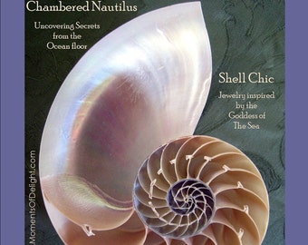 Magazine Bag Duct Tape DELIGHT Chambered Nautilus