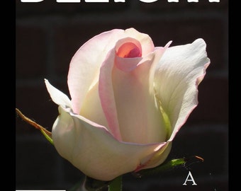 Magazine Bag Duct Tape DELIGHT Rose To Covet