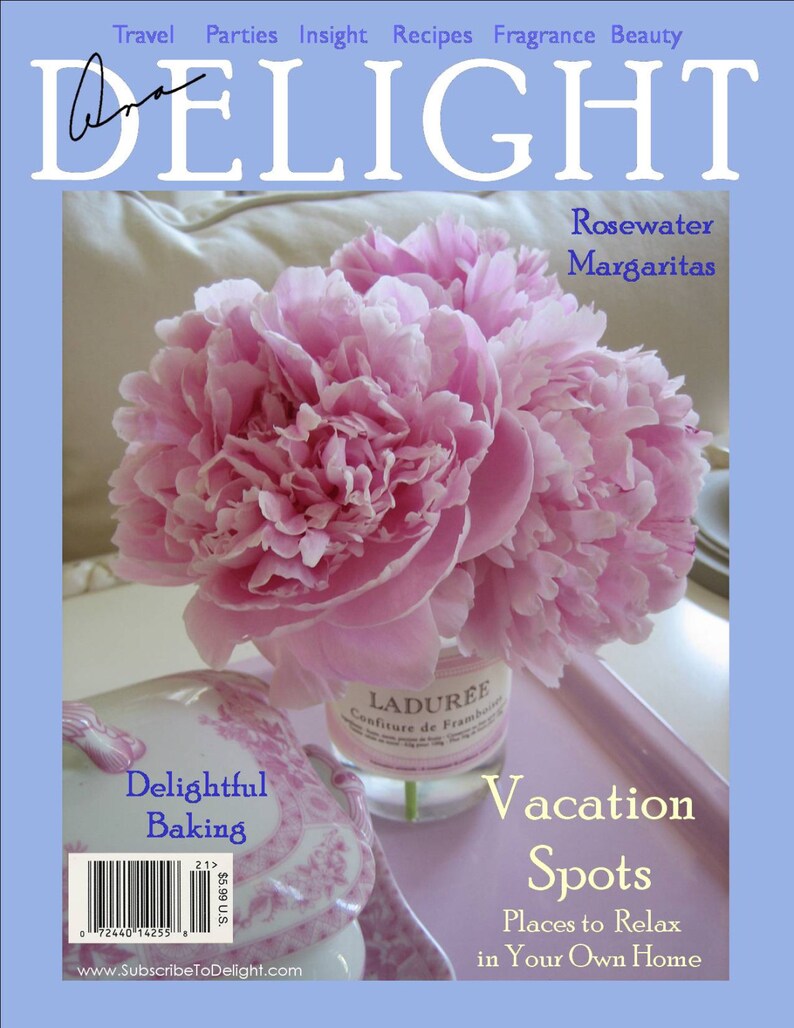 Magazine Bag Duct Tape ANA DELIGHT Vacation Spots image 1