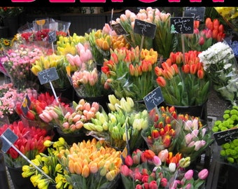 Magazine Bag Duct Tape ANA DELIGHT Paris Flower Market