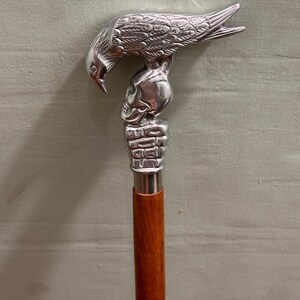 May include: A silver-colored walking cane with a detailed bird head and skull design. The handle is a polished, dark brown wood. The cane is a decorative accessory.