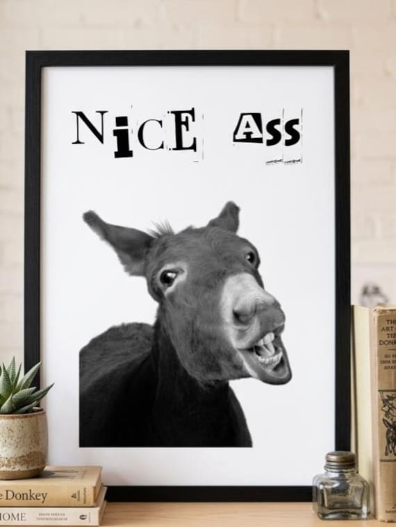 Funny Donkey Poster Print - "Nice Ass" Bathroom Wall Art, Unframed A4, 200gsm Satin Photo Paper - Humorous Farm Animal Print for bath Room