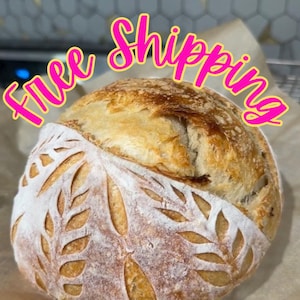 Dehydrated Sourdough Starter: 10g Pack with Guide