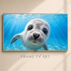 Sommarkonst med ram för TV - Sigill | Kustfotografi och hav | Nedladdning av ram för TV-konstverk | Strandhusdekor | Digital TV-konst