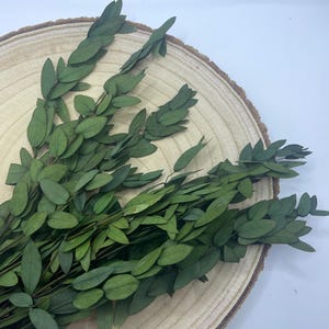 May include: A bundle of green preserved eucalyptus leaves arranged on a wooden slice. The leaves have an oval shape and a dark green color. The wooden slice has a light brown color and a natural wood grain.