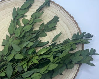 Manojo de hojas secas de eucalipto, 10 tallos de 40 cm de largo