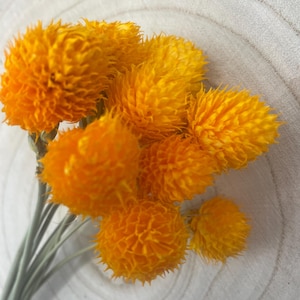 May include: A close-up of a bunch of dried orange billy buttons, or Craspedia. The flowers are spherical with a textured surface, attached to thin, grey stems. The background is a light-coloured, wooden surface.