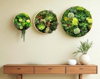 Preserved Moss & Fern Wall Art – Round Greenery Hanging Decor, Circle Plant Panel, Nature Inspired Living Wall Accent Frame Plastic