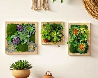 Moos Wand Kunst Konserviert Blumen Dekor Moos Holzrahmen Hängerahmen