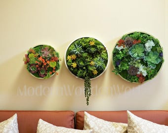 Preserved Moss & Fern Wall Art – Round Greenery Hanging Decor, Circle Plant Panel, Nature Inspired Living Wall Accent Frame plastic