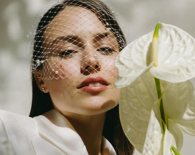 Bridal Pearl Birdcage Veil Wedding Civil Ceremony Veil Courthouse Short Veil with Pearls Scattered Veil for Reception