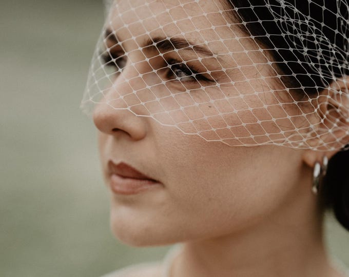 Birdcage Veil for Bride: Courthouse Wedding Veil, Civil Ceremony Veil Bridal Headpiece