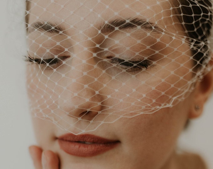 Birdcage Veil for Bride, Bridal Birdcage Veil, Wedding Birdcage Veil, Bird Cage Veil, Modern Wedding Veil