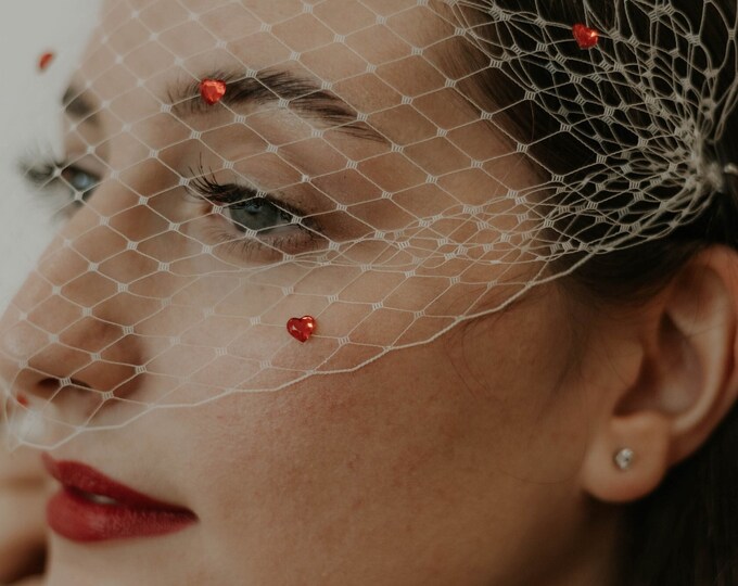 Bachelorette Birdcage Veil with Hearts Hair Accessories Valentines Day Veil Wedding