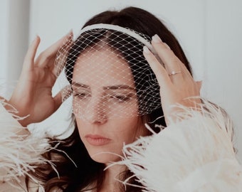 Bridal Birdcage Veil Headband: Wedding Fascinator Veiled Headpiece Civil Wedding Veil Courthouse