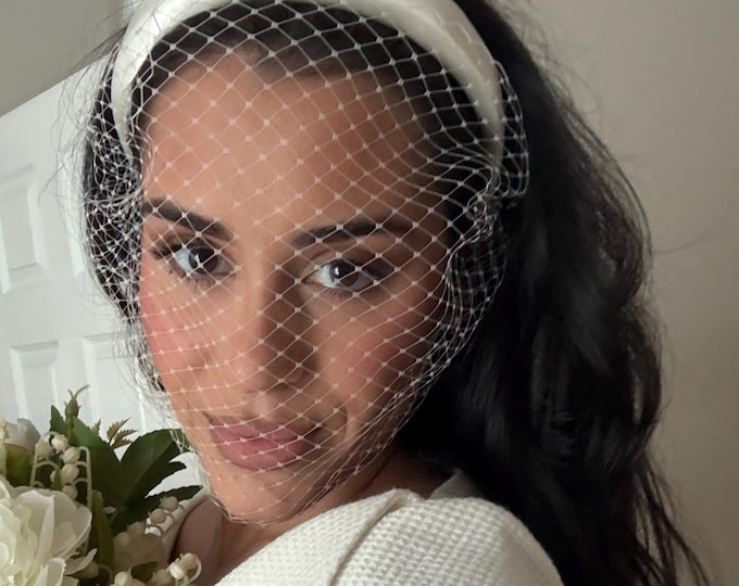 Birdcage Headband Veil with Pearls Wedding Veil Headband Bridal Bird Cage Veil Fascinator Civil Ceremony Veil Courthouse