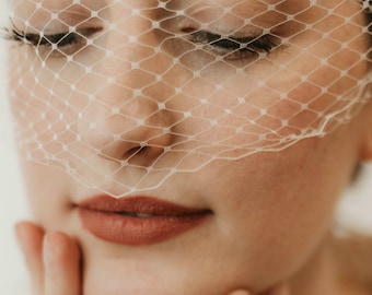 Civil Ceremony Veil Courthouse Wedding Birdcage Veil Bridal Minimalist Headpiece Reception