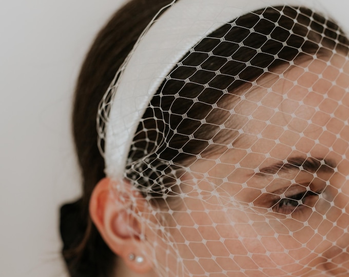 Birdcage Veil Headband Bridal Head Piece with Veil Fascinator Wedding Hair Piece Bachelorette Tea Party Special Occasion Veil