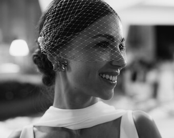 Bridal Pearl Birdcage Veil: Courthouse Wedding Veil City Hall Headpiece