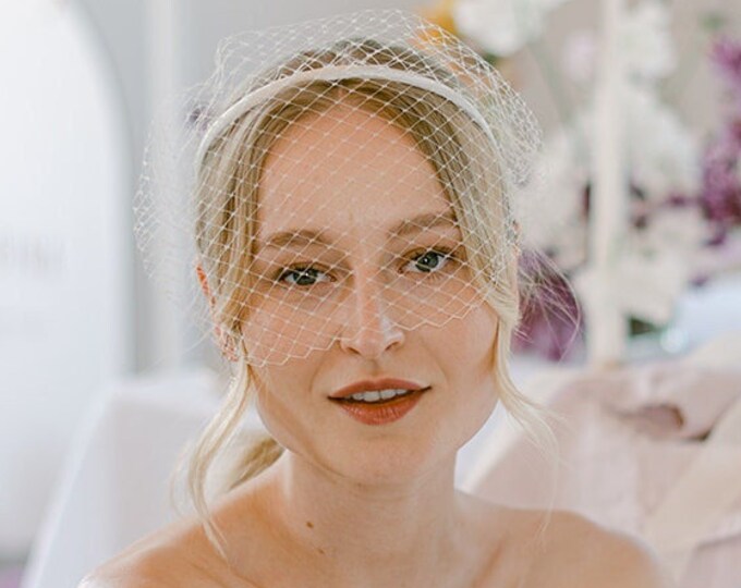 Veil on Headband Birdcage Veil Bridal Headpiece with Veil Fascinator Wedding Veil Guest Headband Special Occasion