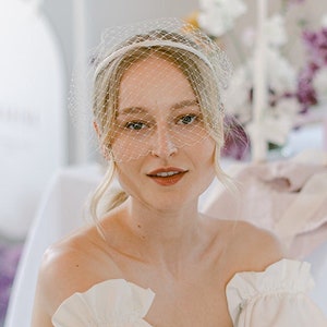 Veil on Headband Birdcage Veil Bridal Headpiece with Veil Fascinator Wedding Veil Guest Headband Special Occasion