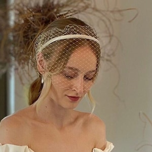 Bride Headband with Veil Birdcage Wedding Veil Headband Bridal Birdcage Veil Bridal Bird Cage Fascinator Custom Color